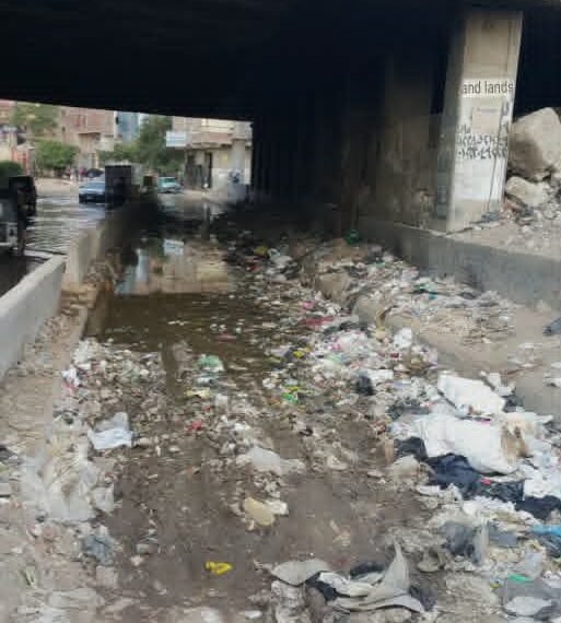 قادرون.. لكنهم فاشلون بامتياز